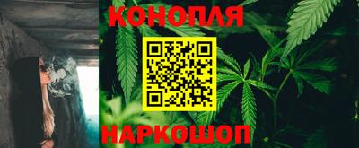 стаф Кинель
