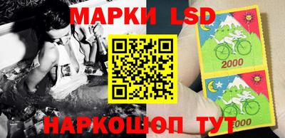 стаф Кинель