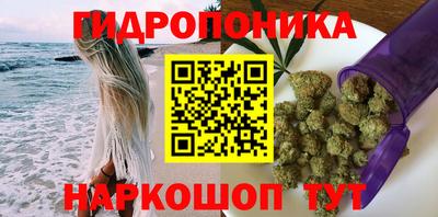 амф Кимры