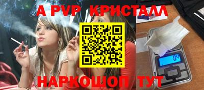 стаф Кинель