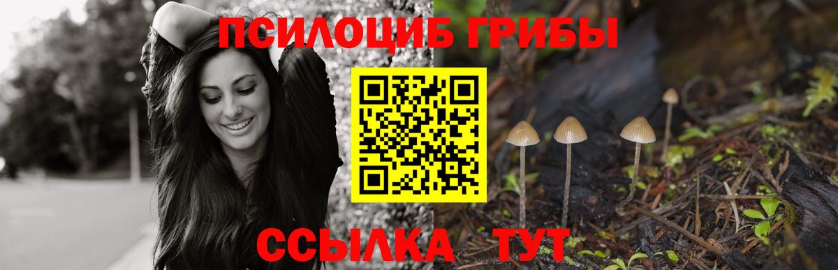 Лангепас  Галлюциногенные грибы мицелий  магазин    Вход с VPN  Псилоцибиновые грибы Cubensis 